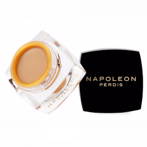 THE ONE CONCEALER